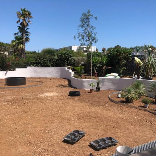 elagueur-abattage-paysagiste-creation-jardin-vente-plantes-agde-sete-beziers-herault-palmier-slider-evolution04