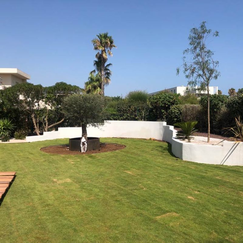 Création de jardin à Agde et dans l’Hérault